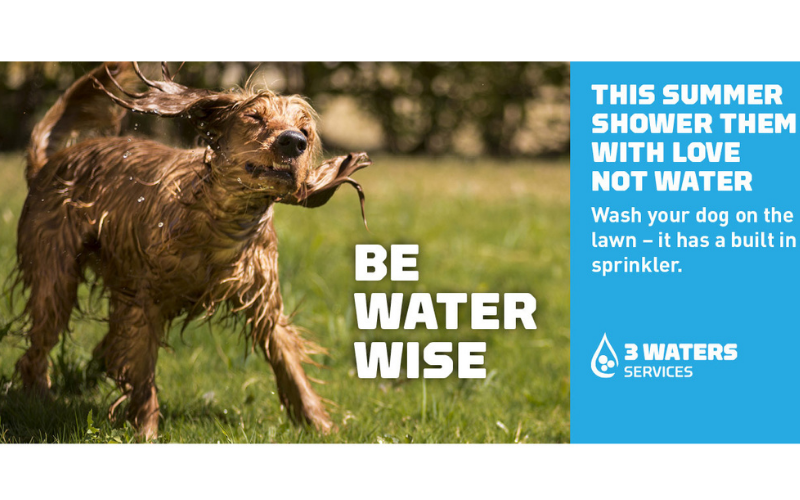 Wet dog shaking - Be water wise advert. This summer shower them with love not water. Wash your dog on the lawn - it has a built in sprinkler.