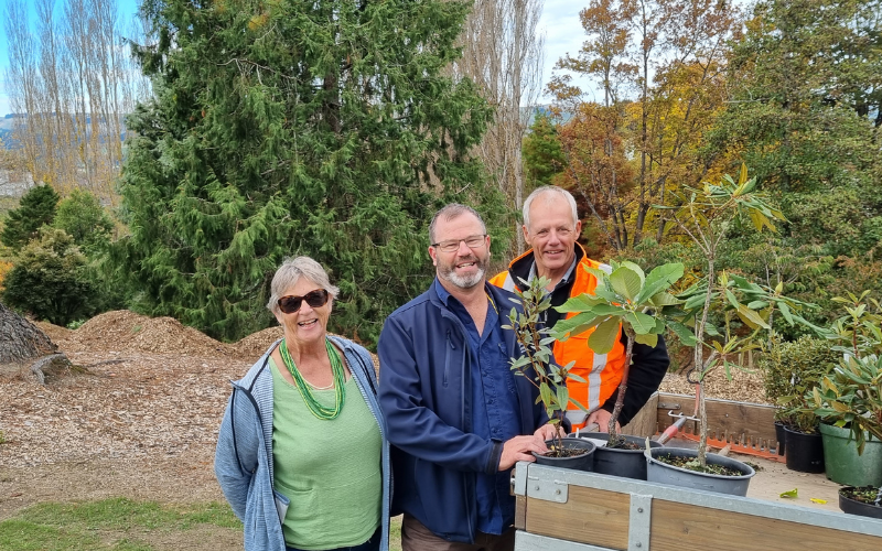 Very rare rhododendrons being delivered to Gore's Bannerman Park